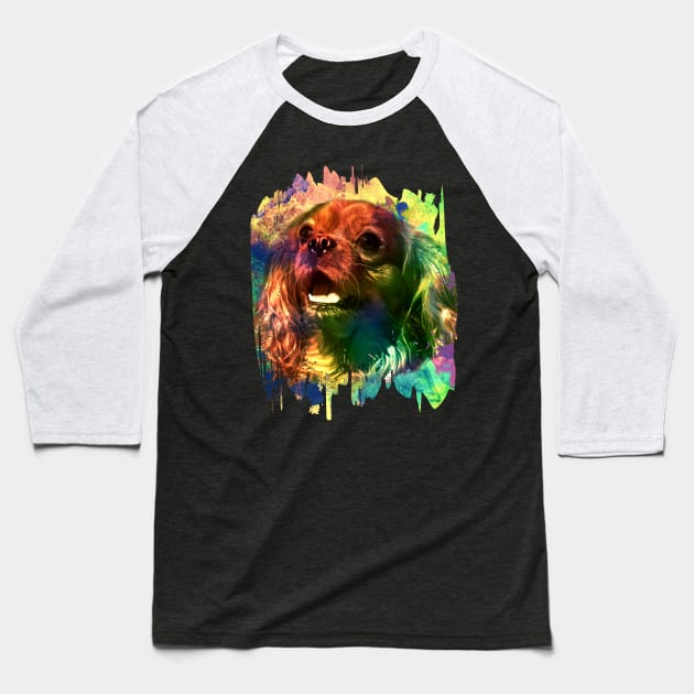 Cavalier King Charles Spaniel Baseball T-Shirt by Nartissima